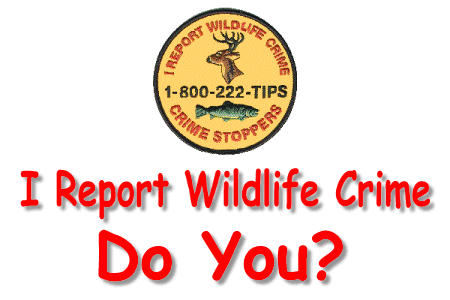 Click on the Crest to go to the Wildlife Crime Web Site
